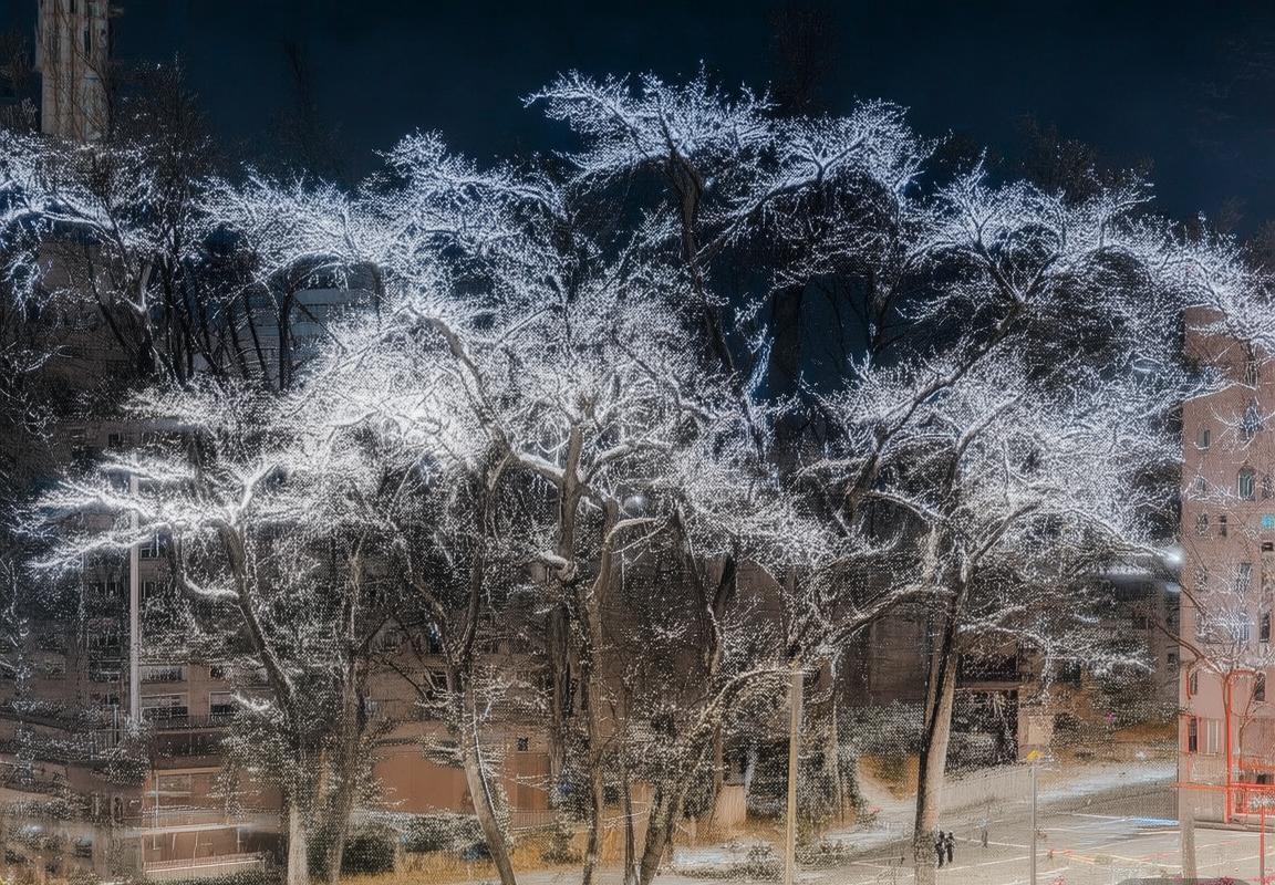 波特兰开拓者队字母哥转会传闻升级，杨瀚森或成关键交易筹码